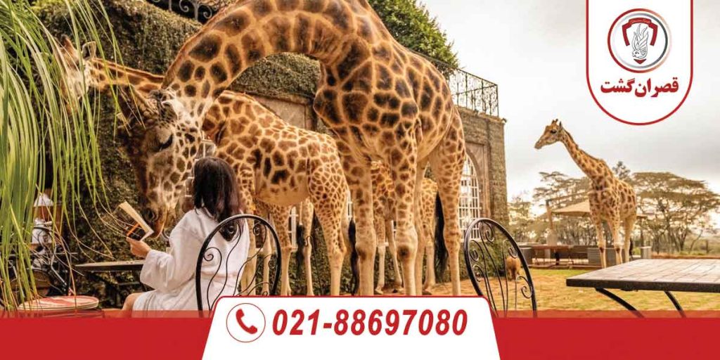 عجیبترین هتلهای دنیا در 2025 1 عجیب ترین هتل های دنیا در 2024